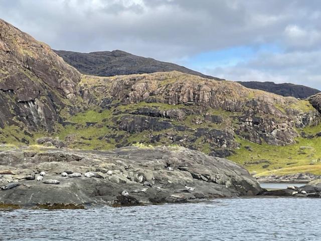 Waterfall View Milovaig Dış mekan fotoğraf
